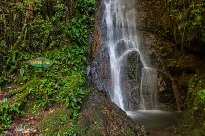 Image of Mt Kinabalu Walks and Botanical Garden - Mt Kinabalu Walks and Botanical Garden