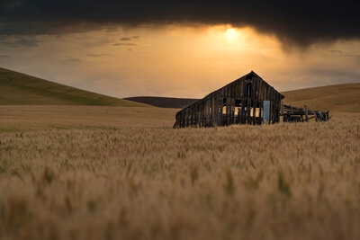 images of Palouse - An abandoned shed in Albion