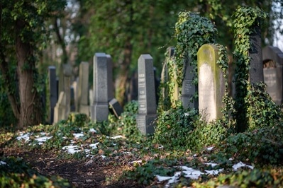 images of Prague - New Jewish Cemetery in Prague