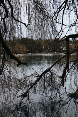 Picture of Roath Park & Lake - Roath Park & Lake