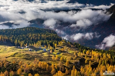 Picture of Planina Krstenica  - Planina Krstenica 