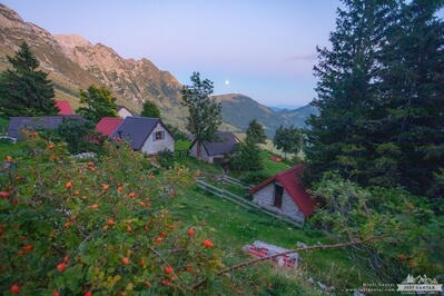 Picture of Planina Zaslap  - Planina Zaslap 
