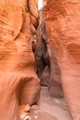 Picture of Wire Pass Slot Canyon - Wire Pass Slot Canyon