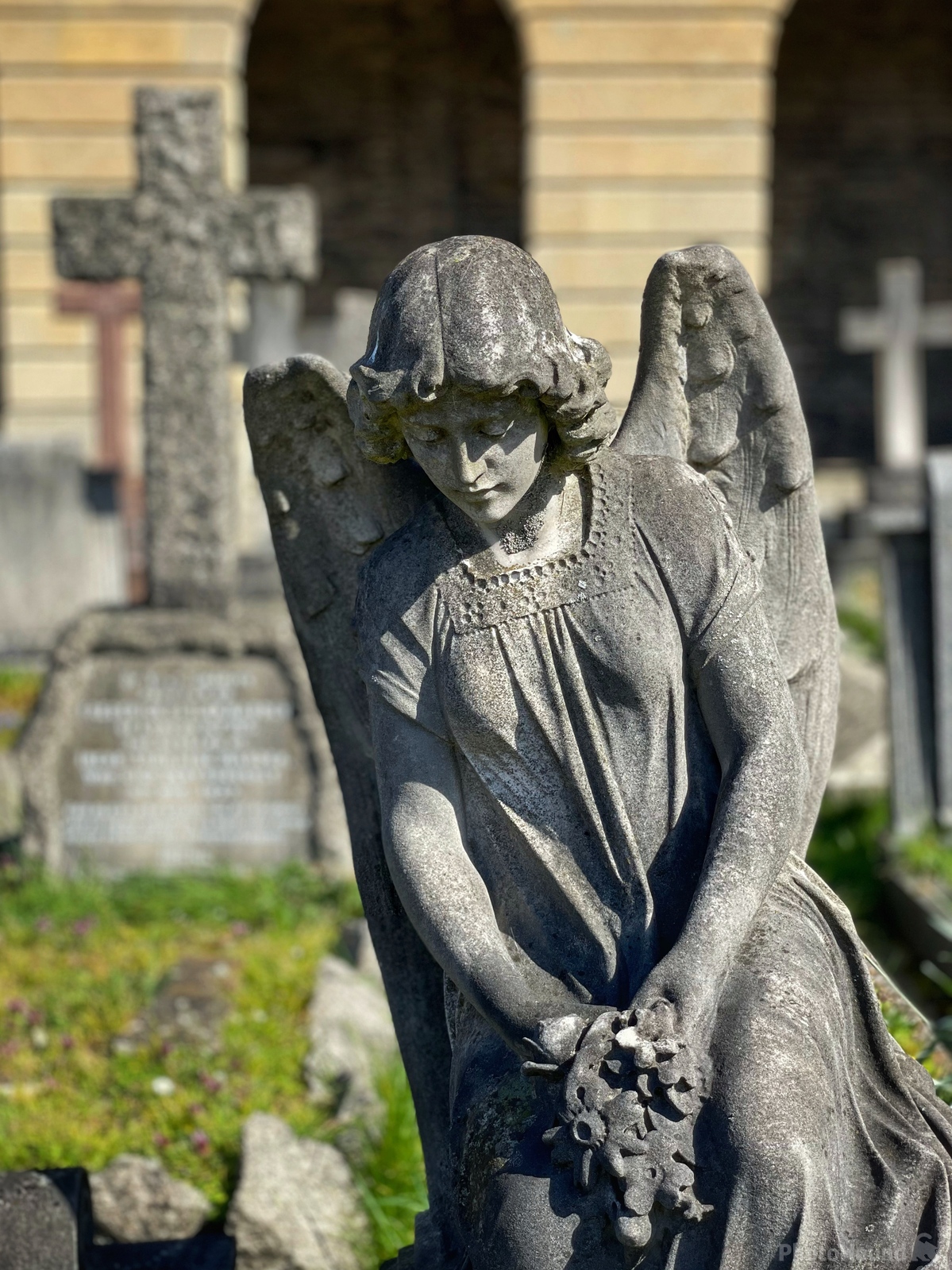 Image of Brompton Cemetery by Jules Renahan | 1018667