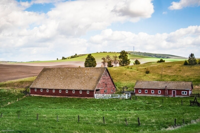 pictures of the United States - Busby-Johnson Road Barns