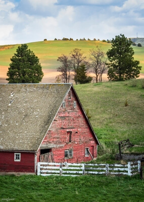 United States images - Busby-Johnson Road Barns