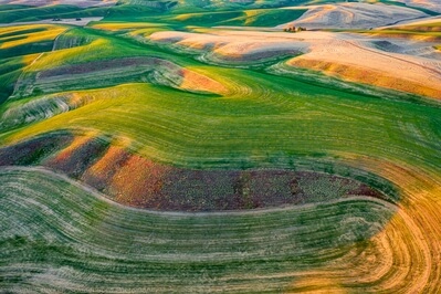photos of Palouse - Repp Road Viewpoint
