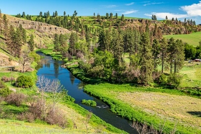 images of Palouse - Site of the former Manning – Rye Covered Bridge