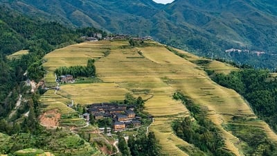 China images - Longji Terraced Fields