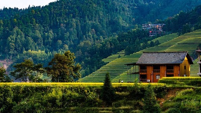 China photos - Longji Terraced Fields