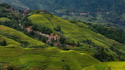 pictures of China - Longji Terraced Fields