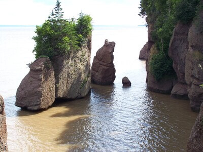 Picture of Hopewell Rocks - Hopewell Rocks