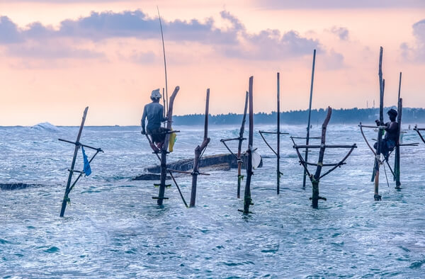 Stilt fisherman in Sri Lanka's Koggala