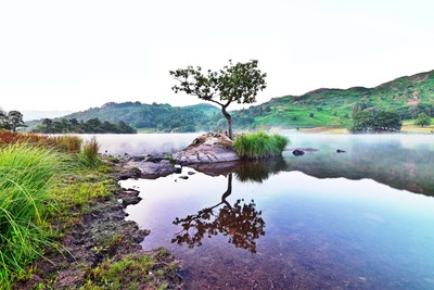 Picture of Rydal Water, Lake District - Rydal Water, Lake District