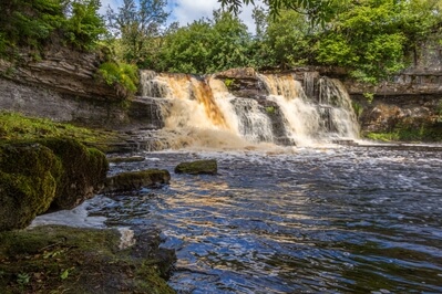 Picture of Rainby Force - Rainby Force