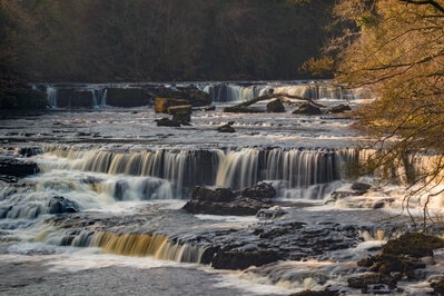 Photo of Aysgarth Falls, Wensleydale - Aysgarth Falls, Wensleydale