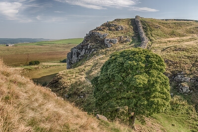 Photo of Hadrian’s Wall - Sycamore Gap - Hadrian’s Wall - Sycamore Gap