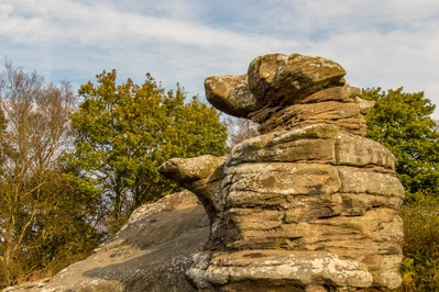 Picture of Brimham Rocks, Nidderdale - Brimham Rocks, Nidderdale
