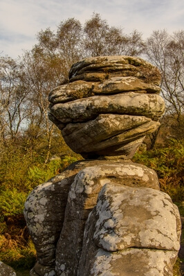 Image of Brimham Rocks, Nidderdale - Brimham Rocks, Nidderdale