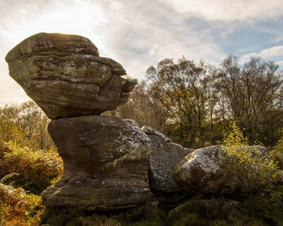 Photo of Brimham Rocks, Nidderdale - Brimham Rocks, Nidderdale
