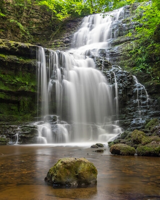 Picture of Scaleber Force - Scaleber Force