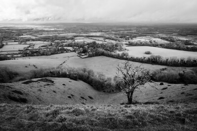 Image of Ditchling Beacon (South Downs NP) - Ditchling Beacon (South Downs NP)