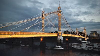 Picture of Albert Bridge - Albert Bridge