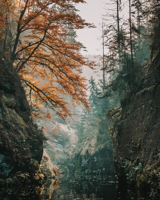 Photo of Edmund's Gorge - Edmund's Gorge