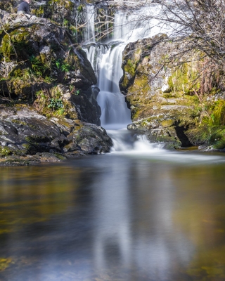 Image of Aira Force and High Forces, Lake District - Aira Force and High Forces, Lake District