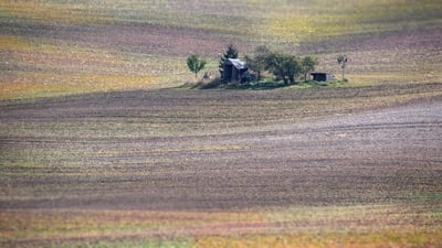 Image of Šardice Valley - Šardice Valley