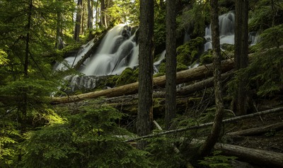 Photo of Clearwater Falls - Clearwater Falls