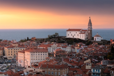 Picture of Piran Elevated View - Piran Elevated View