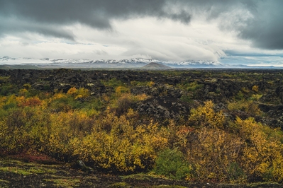 photos of Iceland - Dimmuborgir
