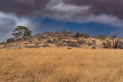 Mitchell Shire instagram spots - High Camp Road Pyalong  Victoria