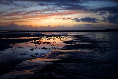 Picture of Goring Beach at Low Tide - Goring Beach at Low Tide