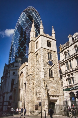 Image of The Gherkin - The Gherkin