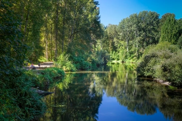 This is a view from the bridge that connects the Park to the Sammamish River Trail.