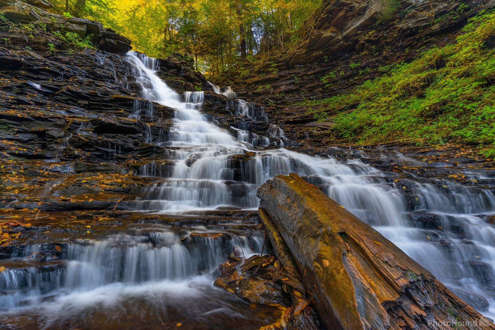 Image of Ricketts Glen State Park by Dave Fredrickson