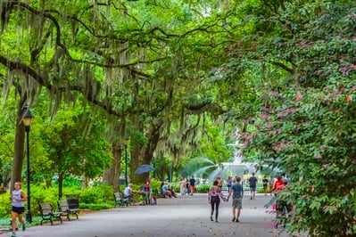 United States photo events - Savannah Trolley Tours