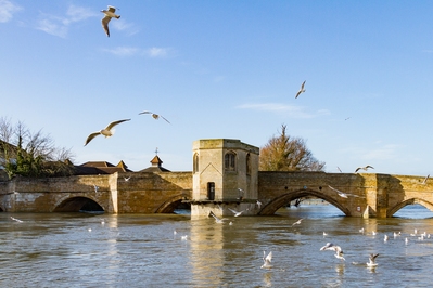 photos of Cambridgeshire - St Ives Bridge