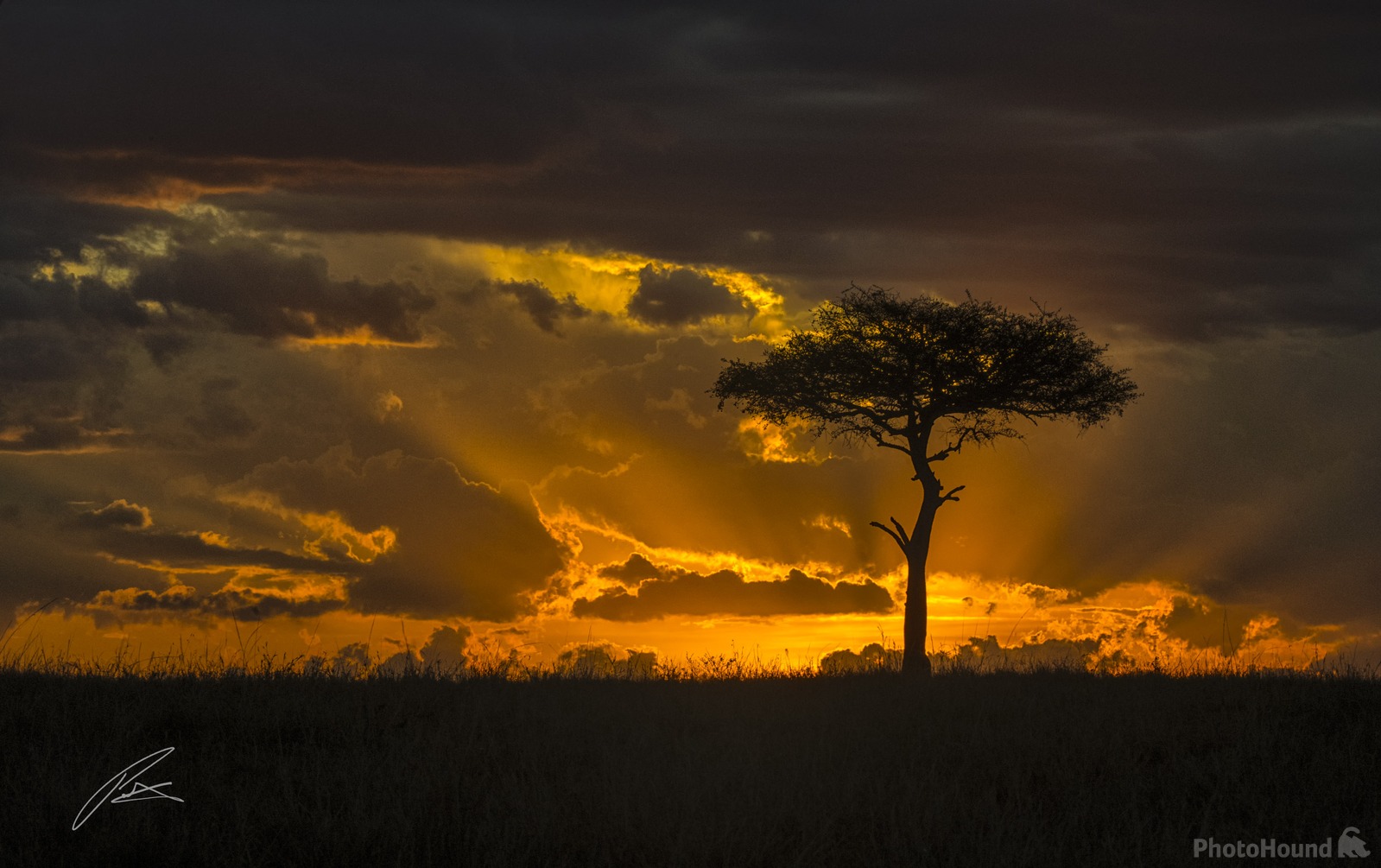 Image of Maasai Mara Game Reserve by Patrick Hulley