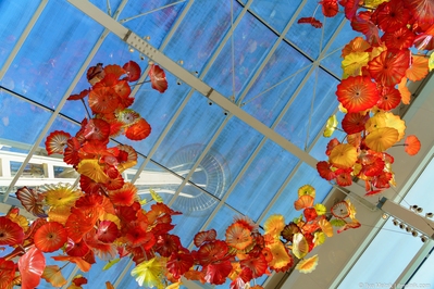 Picture of The Chihuly Garden and Glass – Seattle Center - The Chihuly Garden and Glass – Seattle Center