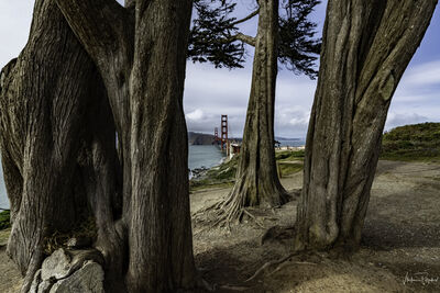 Image of Golden Gate Bridge View Vista Point - Golden Gate Bridge View Vista Point