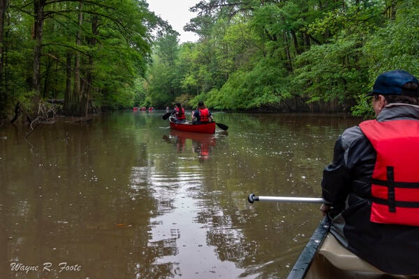 Guided canoe trip on the creek