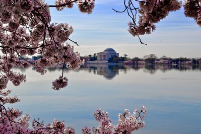 Photo of Thomas Jefferson Memorial - Thomas Jefferson Memorial