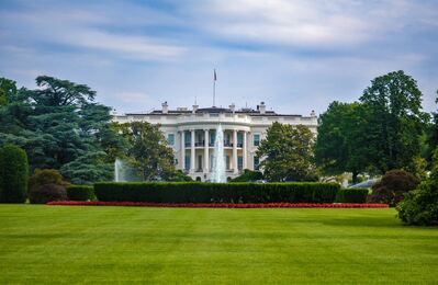 Image of The White House - The White House