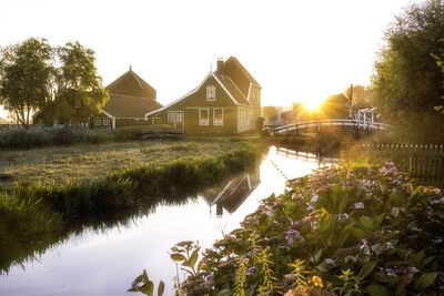 Picture of Cheese Farm Catharina Hoeve, Zaanse Schans - Cheese Farm Catharina Hoeve, Zaanse Schans