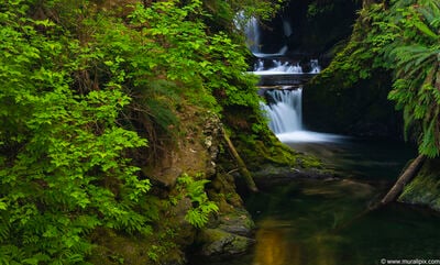 Washington photography locations - Willaby Creek Falls