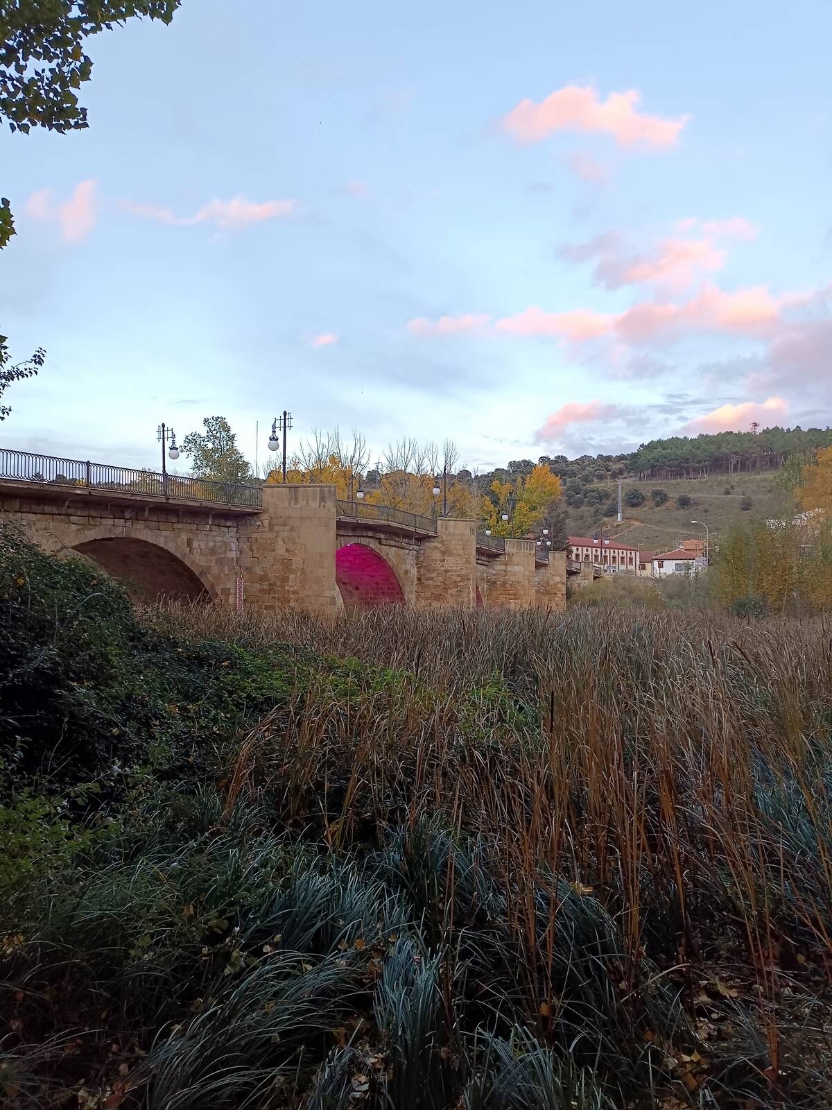 Image of Puente de Piedra Medieval by José Luis