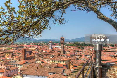 Toscana instagram locations - View from Guinigi Tower